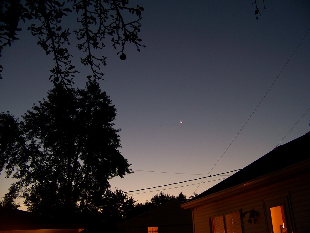 Backyard Astronomy  Under Night Skies
